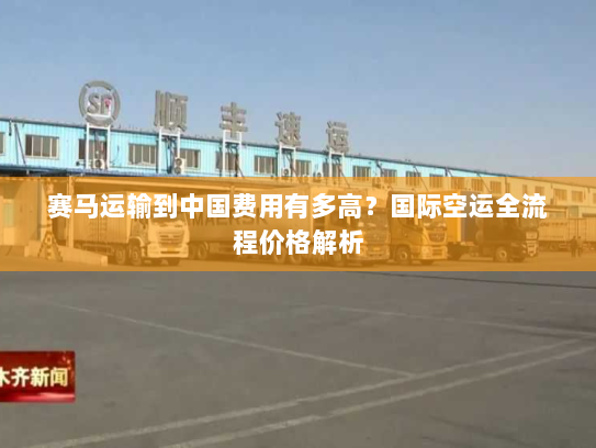 赛马运输到中国费用有多高?国际空运全流程价格解析 赛马运输到中国费用有多高?国际空运全流程价格解析