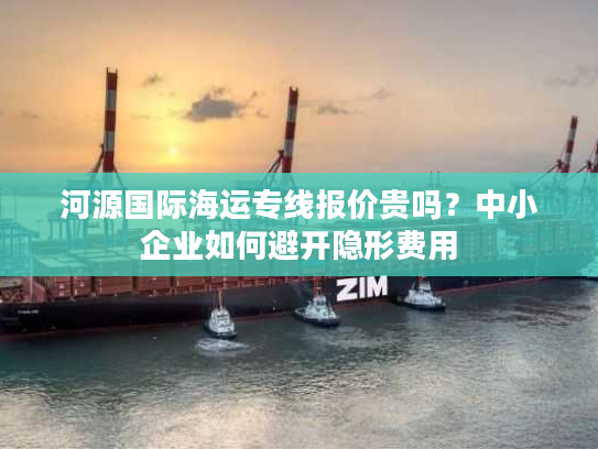 河源国际海运专线报价贵吗？中小企业如何避开隐形费用