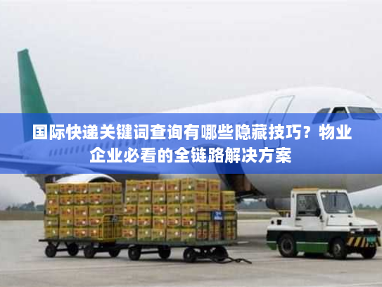 国际快递关键词查询有哪些隐藏技巧?物业企业必看的全链路解决方案 国际快递关键词查询有哪些隐藏技巧?物业企业必看的全链路解决方案