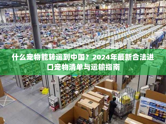 什么宠物能转运到中国?2024年最新合法进口宠物清单与运输指南 什么宠物能转运到中国?2024年最新合法进口宠物清单与运输指南