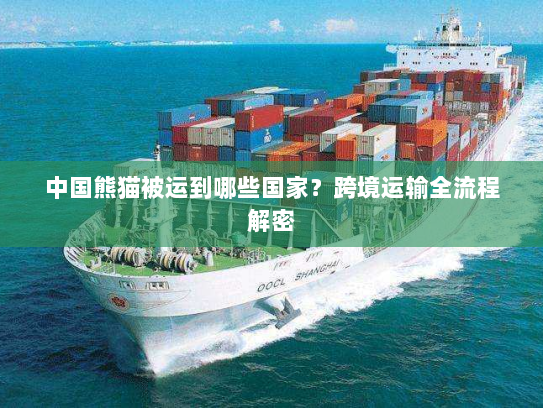 中国熊猫被运到哪些国家?跨境运输全流程解密 中国熊猫被运到哪些国家?跨境运输全流程解密