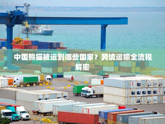 中国熊猫被运到哪些国家?跨境运输全流程解密 中国熊猫被运到哪些国家?跨境运输全流程解密