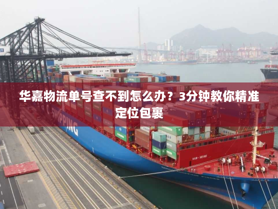 华嘉物流单号查不到怎么办？3分钟教你精准定位包裹