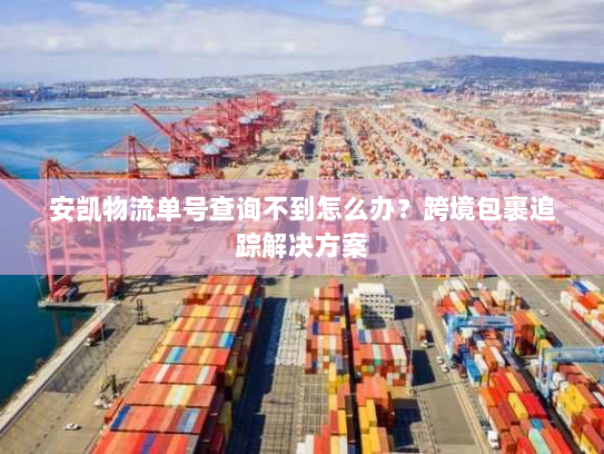 安凯物流单号查询不到怎么办?跨境包裹追踪解决方案 安凯物流单号查询不到怎么办?跨境包裹追踪解决方案