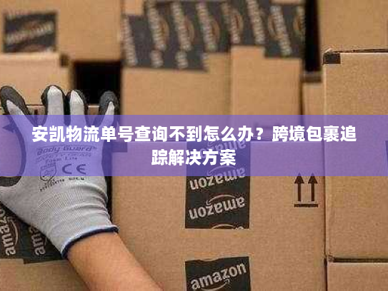 安凯物流单号查询不到怎么办?跨境包裹追踪解决方案 安凯物流单号查询不到怎么办?跨境包裹追踪解决方案