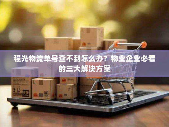 程光物流单号查不到怎么办？物业企业必看的三大解决方案