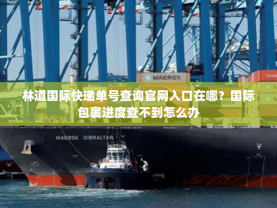 林道国际快递单号查询官网入口在哪？国际包裹进度查不到怎么办