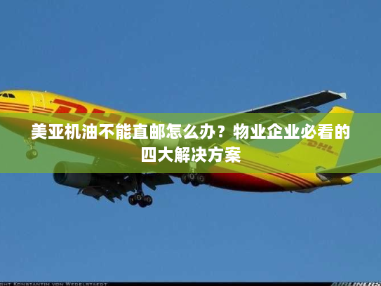 美亚机油不能直邮怎么办？物业企业必看的四大解决方案