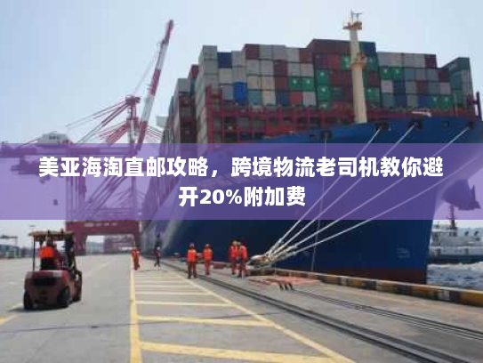 美亚海淘直邮攻略，跨境物流老司机教你避开20%附加费