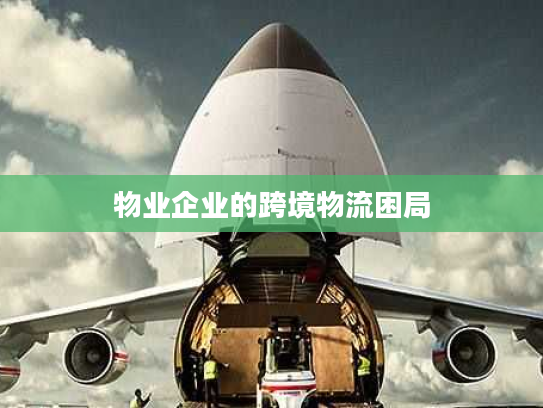 物业企业的跨境物流困局