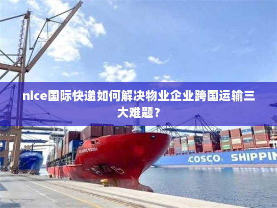 nice国际快递如何解决物业企业跨国运输三大难题？