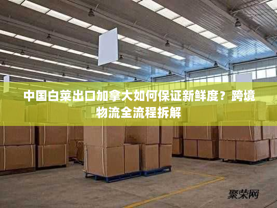 中国白菜出口加拿大如何保证新鲜度？跨境物流全流程拆解