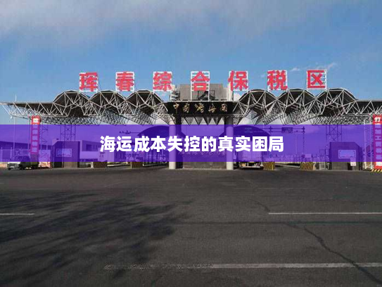 海运成本失控的真实困局 海运成本失控的真实困局