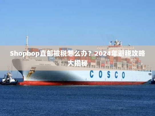 Shopbop直邮被税怎么办?2024年避税攻略大揭秘 Shopbop直邮被税怎么办?2024年避税攻略大揭秘
