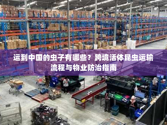 运到中国的虫子有哪些？跨境活体昆虫运输流程与物业防治指南