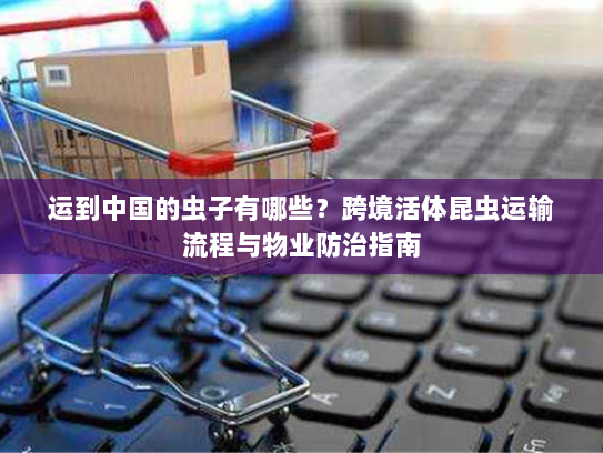 运到中国的虫子有哪些？跨境活体昆虫运输流程与物业防治指南