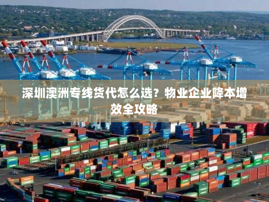 深圳澳洲专线货代怎么选?物业企业降本增效全攻略 深圳澳洲专线货代怎么选?物业企业降本增效全攻略