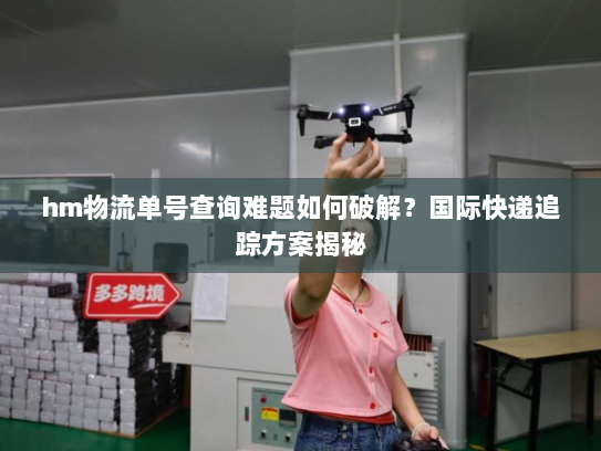 hm物流单号查询难题如何破解？国际快递追踪方案揭秘