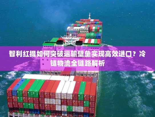 智利红提如何突破运输壁垒实现高效进口？冷链物流全链路解析