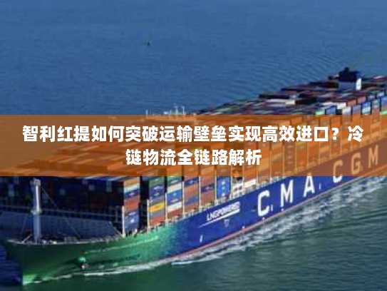 智利红提如何突破运输壁垒实现高效进口?冷链物流全链路解析 智利红提如何突破运输壁垒实现高效进口?冷链物流全链路解析