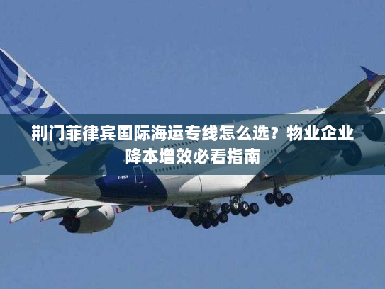 荆门菲律宾国际海运专线怎么选？物业企业降本增效必看指南