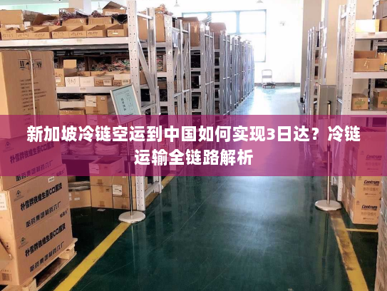 新加坡冷链空运到中国如何实现3日达?冷链运输全链路解析 新加坡冷链空运到中国如何实现3日达?冷链运输全链路解析