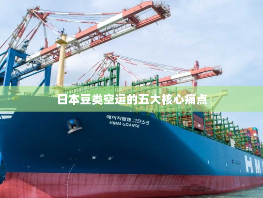 日本豆类空运的五大核心痛点 日本豆类空运的五大核心痛点