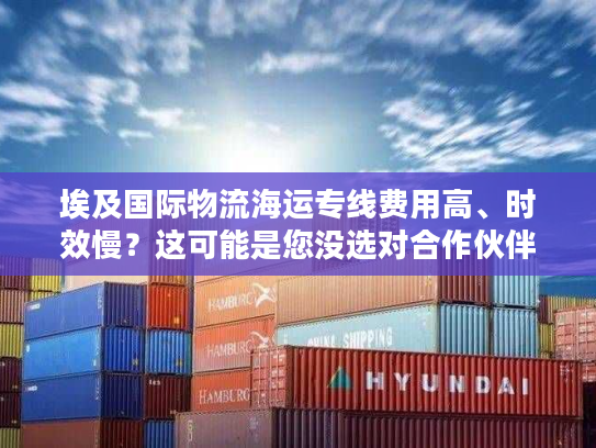 埃及国际物流海运专线费用高、时效慢？这可能是您没选对合作伙伴