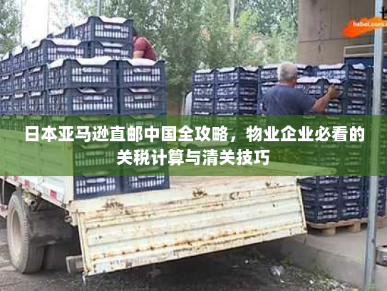 日本亚马逊直邮中国全攻略,物业企业必看的关税计算与清关技巧 日本亚马逊直邮中国全攻略,物业企业必看的关税计算与清关技巧