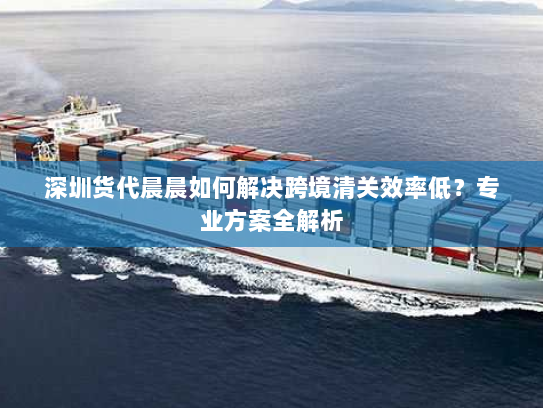 深圳货代晨晨如何解决跨境清关效率低？专业方案全解析
