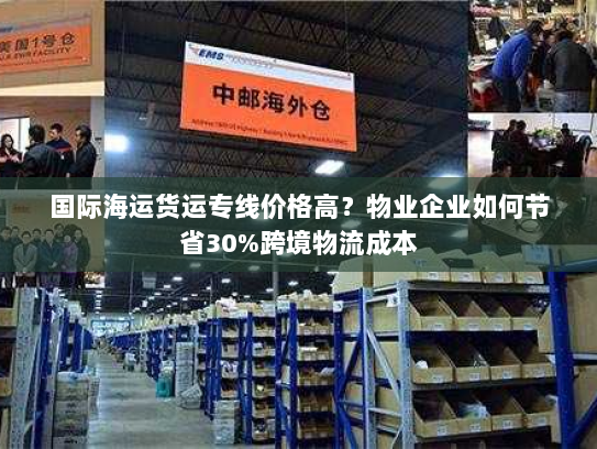 国际海运货运专线价格高？物业企业如何节省30%跨境物流成本
