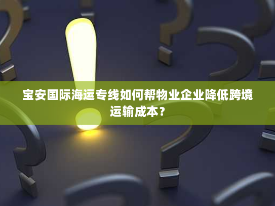 宝安国际海运专线如何帮物业企业降低跨境运输成本？