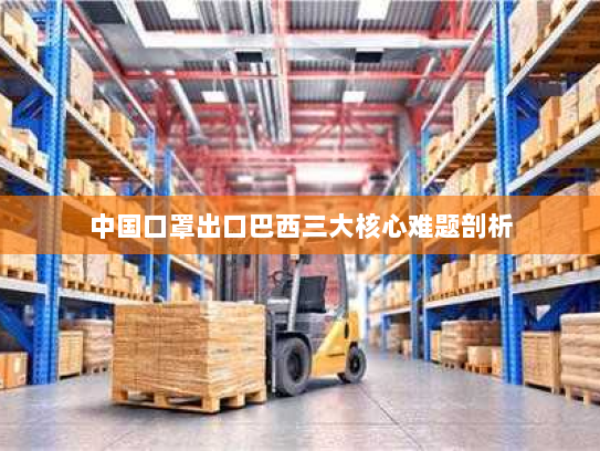 中国口罩出口巴西三大核心难题剖析 中国口罩出口巴西三大核心难题剖析