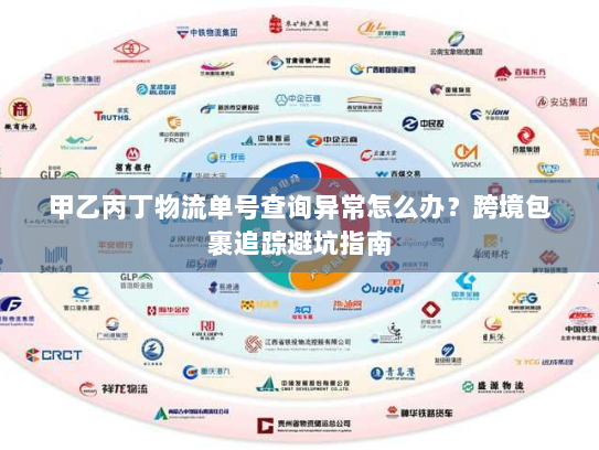 甲乙丙丁物流单号查询异常怎么办？跨境包裹追踪避坑指南
