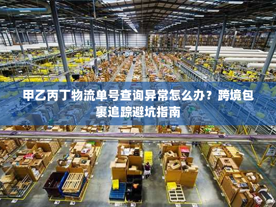 甲乙丙丁物流单号查询异常怎么办？跨境包裹追踪避坑指南