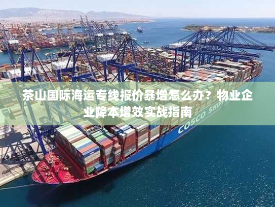 茶山国际海运专线报价暴增怎么办?物业企业降本增效实战指南 茶山国际海运专线报价暴增怎么办?物业企业降本增效实战指南