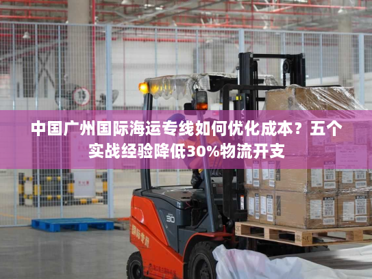 中国广州国际海运专线如何优化成本?五个实战经验降低30%物流开支 中国广州国际海运专线如何优化成本?五个实战经验降低30%物流开支