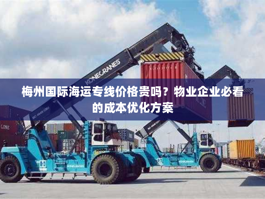梅州国际海运专线价格贵吗?物业企业必看的成本优化方案 梅州国际海运专线价格贵吗?物业企业必看的成本优化方案