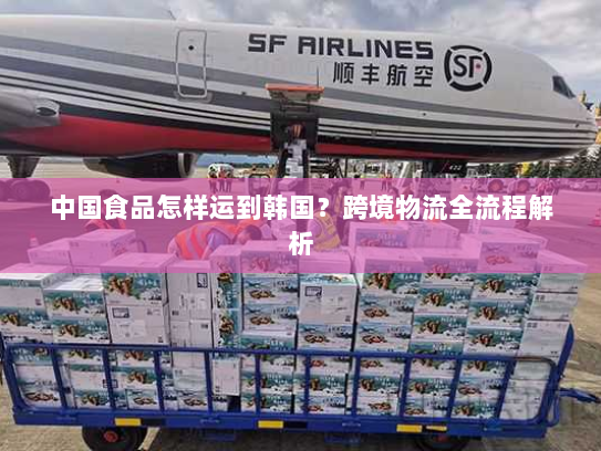 中国食品怎样运到韩国？跨境物流全流程解析