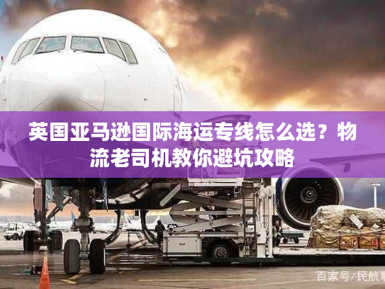 英国亚马逊国际海运专线怎么选?物流老司机教你避坑攻略 英国亚马逊国际海运专线怎么选?物流老司机教你避坑攻略