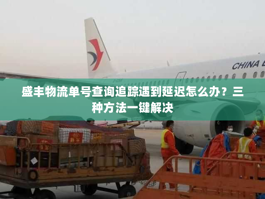 盛丰物流单号查询追踪遇到延迟怎么办？三种方法一键解决