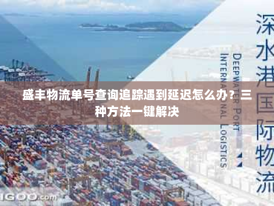 盛丰物流单号查询追踪遇到延迟怎么办？三种方法一键解决