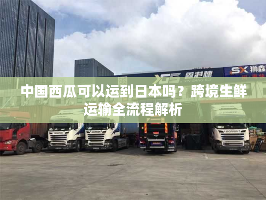 中国西瓜可以运到日本吗?跨境生鲜运输全流程解析 中国西瓜可以运到日本吗?跨境生鲜运输全流程解析
