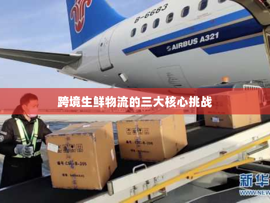 跨境生鲜物流的三大核心挑战 跨境生鲜物流的三大核心挑战