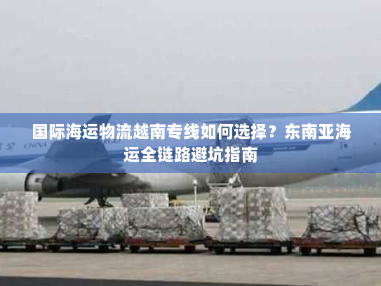 国际海运物流越南专线如何选择？东南亚海运全链路避坑指南