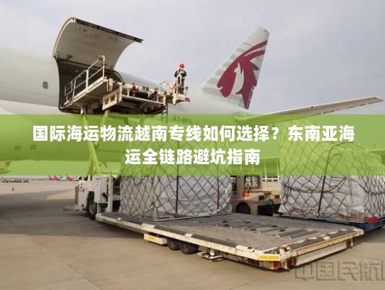 国际海运物流越南专线如何选择？东南亚海运全链路避坑指南