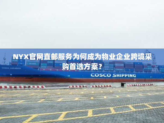 NYX官网直邮服务为何成为物业企业跨境采购首选方案? NYX官网直邮服务为何成为物业企业跨境采购首选方案?