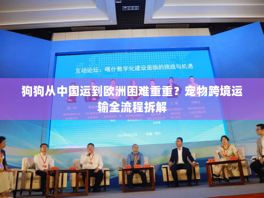 狗狗从中国运到欧洲困难重重?宠物跨境运输全流程拆解 狗狗从中国运到欧洲困难重重?宠物跨境运输全流程拆解