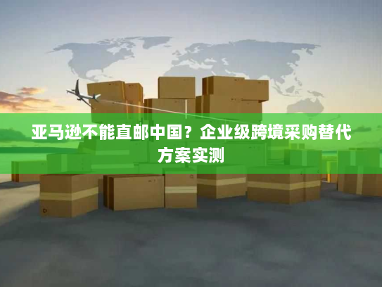 亚马逊不能直邮中国?企业级跨境采购替代方案实测 亚马逊不能直邮中国?企业级跨境采购替代方案实测