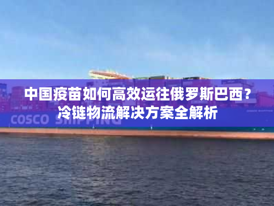 中国疫苗如何高效运往俄罗斯巴西?冷链物流解决方案全解析 中国疫苗如何高效运往俄罗斯巴西?冷链物流解决方案全解析